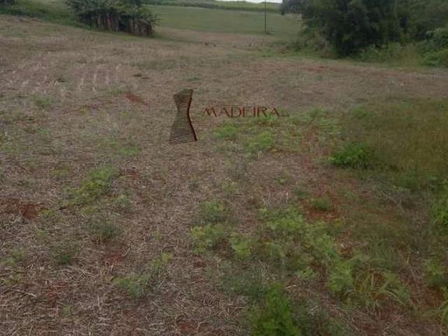 Sítio e chácara venda em Apucarana, Região Geográfica Intermediária de Londrina