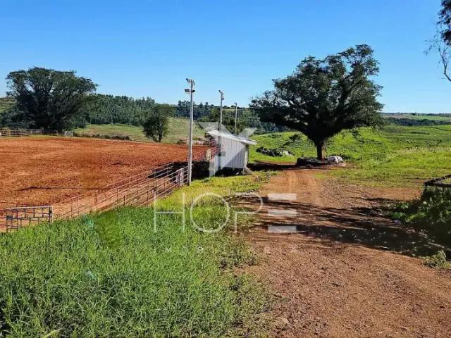 Sítio e chácara venda em Região Geográfica Imediata de Apucarana, Apucarana