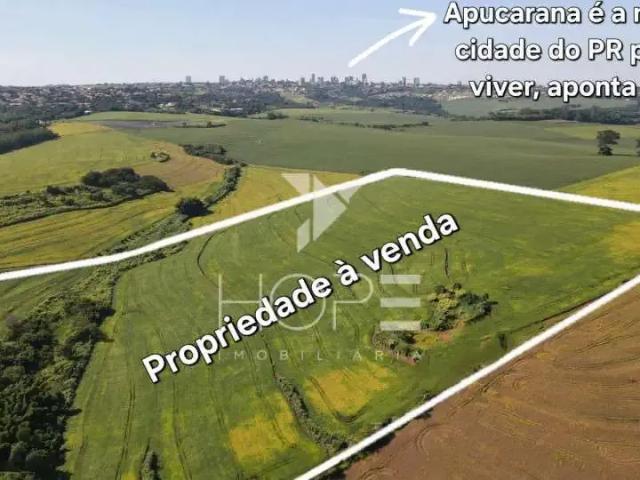 Sítio e chácara venda em Região Geográfica Imediata de Apucarana, Apucarana