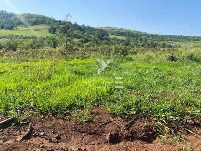 Sítio e chácara venda em Região Geográfica Imediata de Apucarana, Apucarana