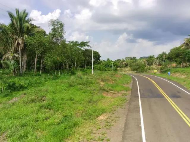 Sítio e chácara venda em Região Geográfica Imediata de Aquidauana - Anastácio, Aquidauana
