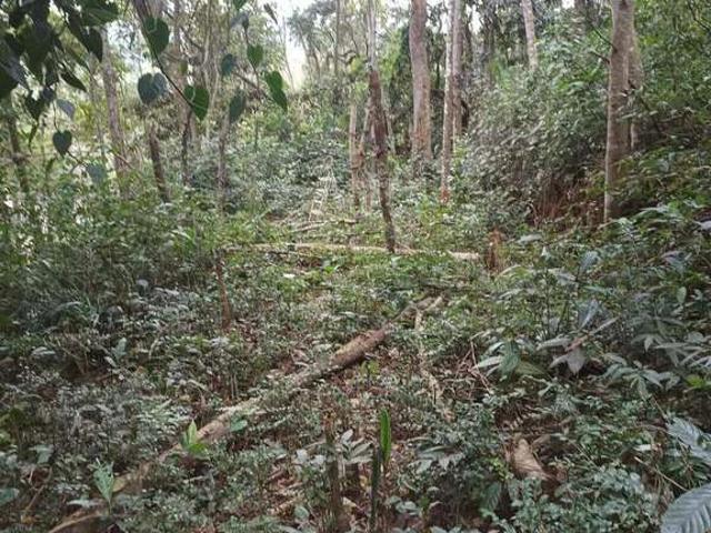 Sítio e chácara venda em Centro, Bertioga