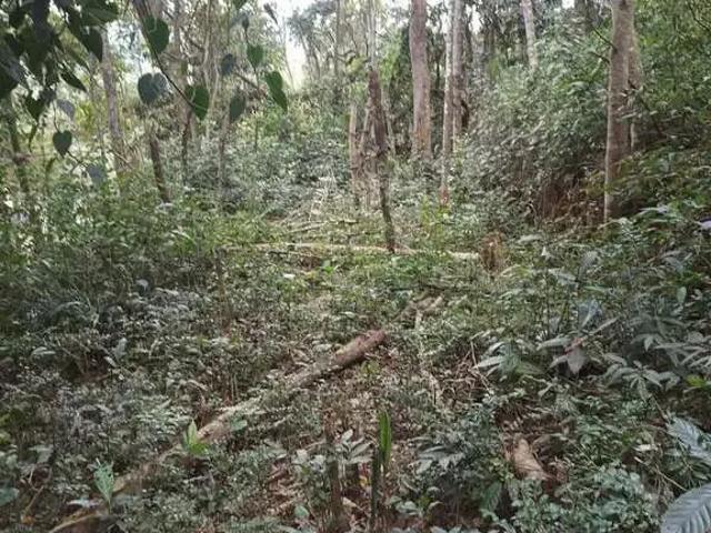 Sítio e chácara venda em Região Imediata de Santos, Região Metropolitana da Baixada Santista