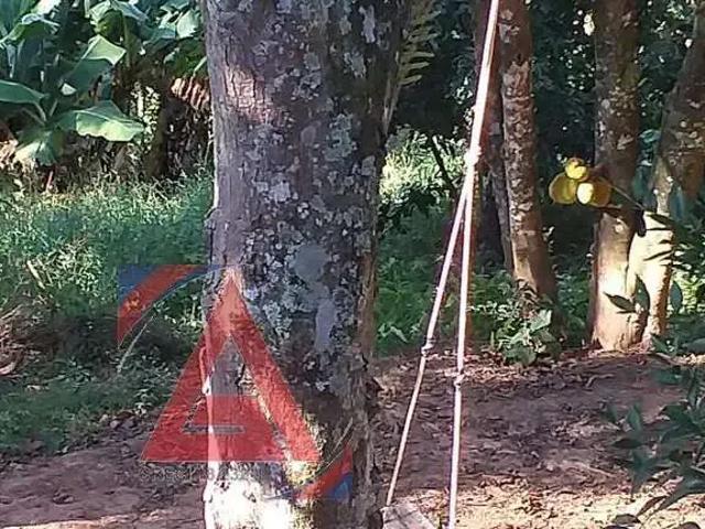 Sítio e chácara venda em Região Imediata de Sorocaba, Região Metropolitana de Sorocaba