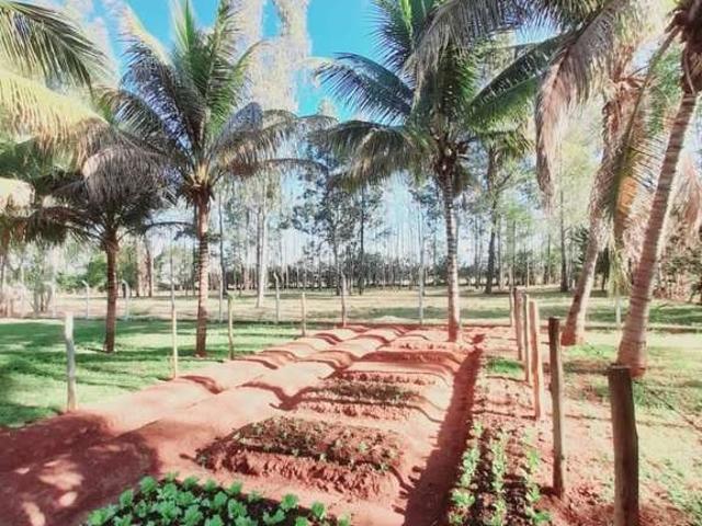 Sítio e chácara venda em Araçatuba