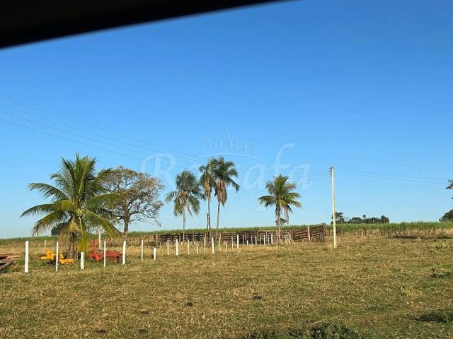 Sítio e chácara venda em Araçatuba, Região Geográfica Intermediária de Araçatuba