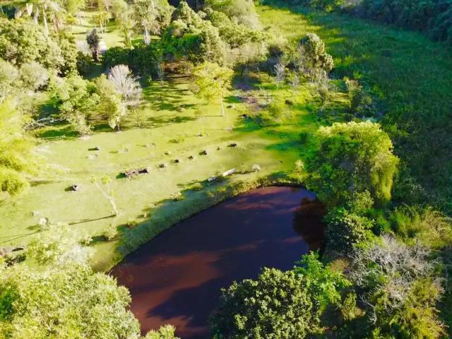 Sítio e chácara venda em Região Imediata de Sorocaba, Região Metropolitana de Sorocaba