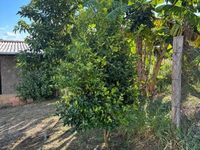 Sítio e chácara venda em Loteamento Brizola, Araçoiaba da Serra