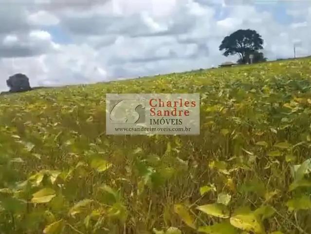 Sítio e chácara venda em Região Geográfica Imediata de Inhumas - Itaberaí - Anicuns, Araçu