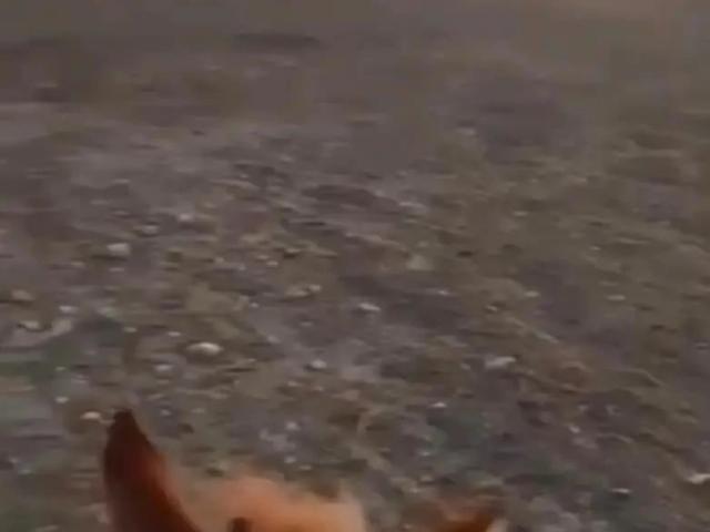Sítio e chácara venda em Aracaju