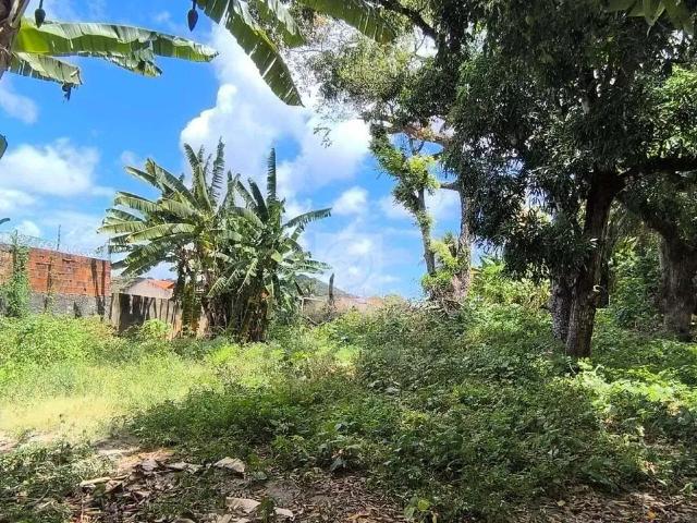 Sítio e chácara venda em Região Geográfica Imediata de Aracaju, Região Metropolitana de Aracaju