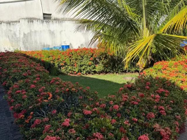 Sítio e chácara venda em Região Geográfica Imediata de Aracaju, Região Metropolitana de Aracaju
