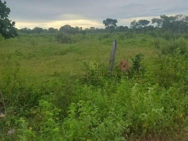 Sítio e chácara venda em Região Geográfica Imediata de Iporá, Aragarças