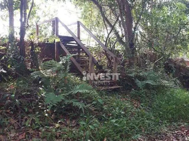 Sítio e chácara venda em Região Geográfica Imediata de Goiânia, Goiânia