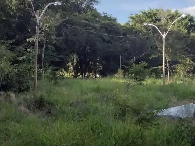 Sítio e chácara venda em Região Geográfica Imediata de Goiânia, Aragoiânia