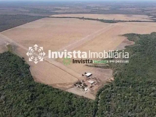 Sítio e chácara venda em Região Geográfica Imediata de Paraíso do Tocantins, Araguacema