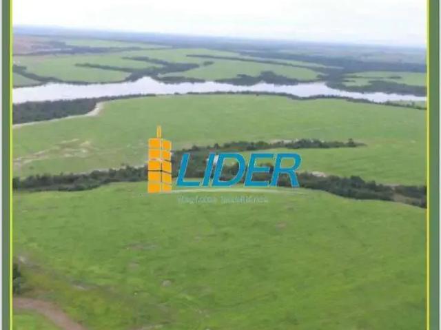 Sítio e chácara venda em Região Geográfica Imediata de Araguaína, Araguaína