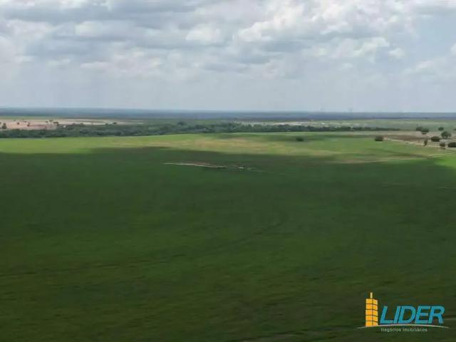 Sítio e chácara venda em Região Geográfica Imediata de Araguaína, Araguaína
