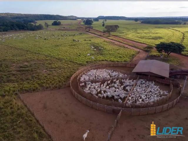 Sítio e chácara venda em Região Geográfica Imediata de Araguaína, Araguaína