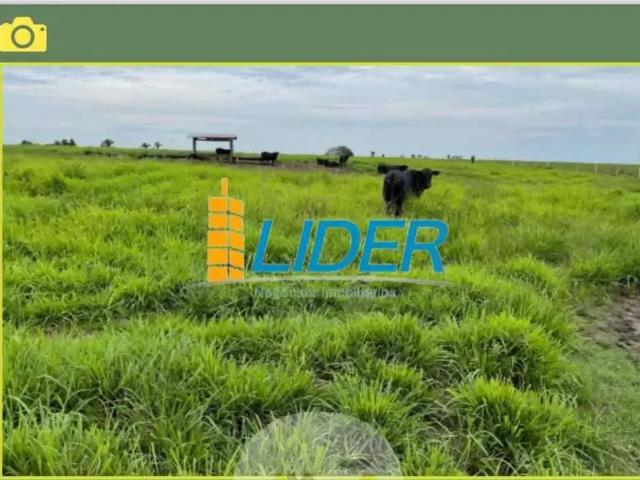 Sítio e chácara venda em Região Geográfica Imediata de Araguaína, Araguaína