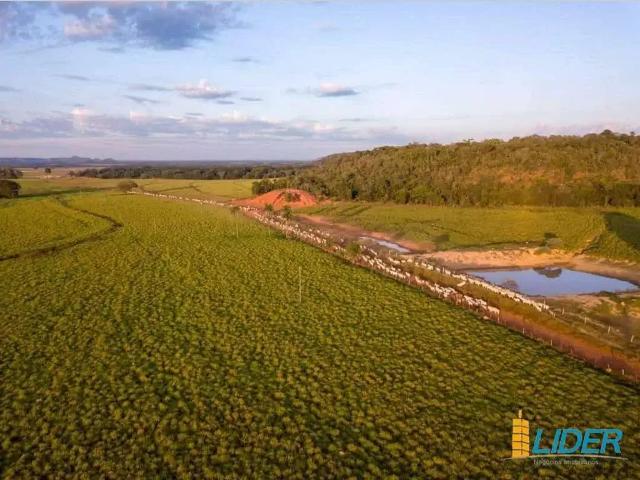 Sítio e chácara venda em Região Geográfica Imediata de Araguaína, Araguaína