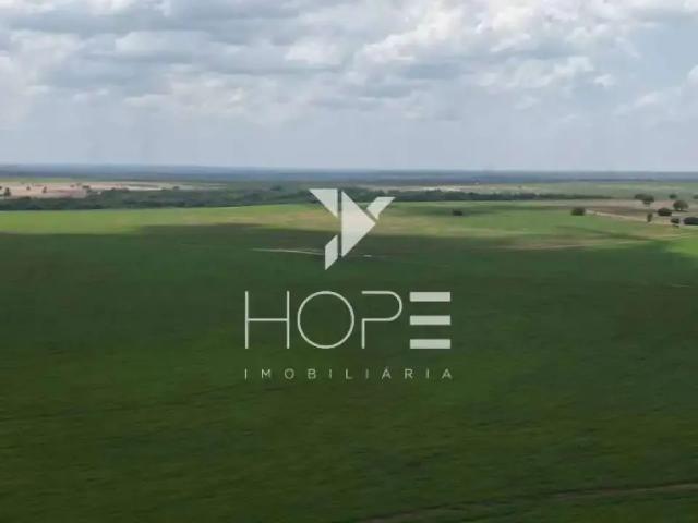 Sítio e chácara venda em Região Geográfica Imediata de Araguaína, Araguaína