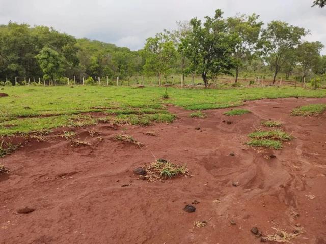 Sítio e chácara venda em Araguainha, Região Geográfica Intermediária de Rondonópolis