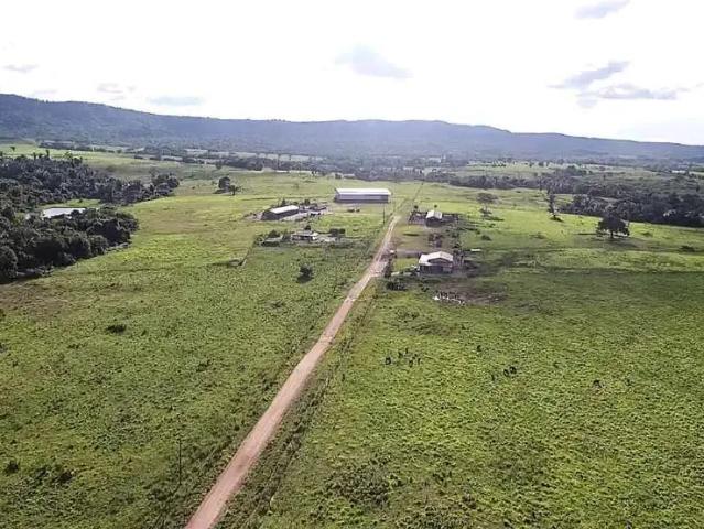 Sítio e chácara venda em Região Geográfica Imediata de Araguaína, Araguanã