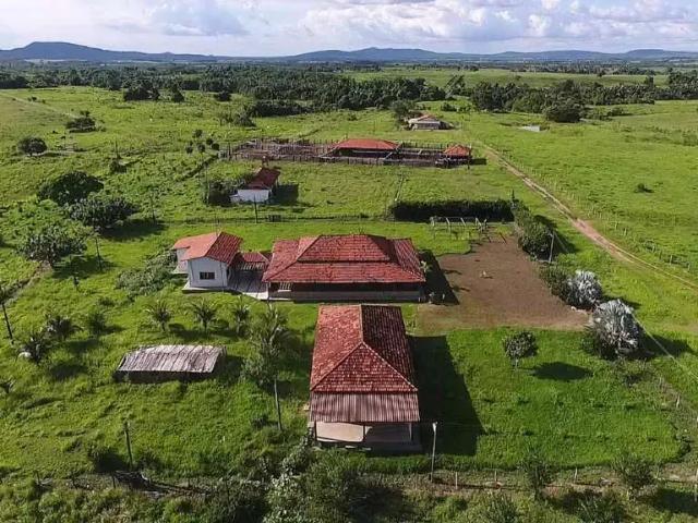 Sítio e chácara venda em Região Geográfica Imediata de Araguaína, Araguanã