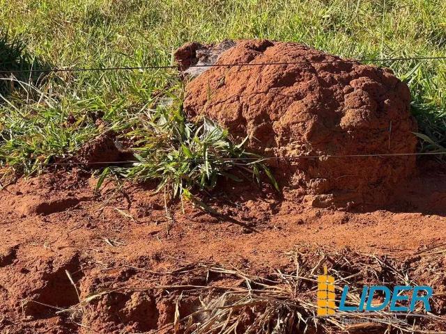 Sítio e chácara venda em Região Geográfica Imediata de Uberlândia, Araguari