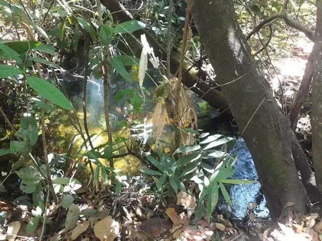 Sítio e chácara venda em Região Geográfica Imediata de Uberlândia, Araguari