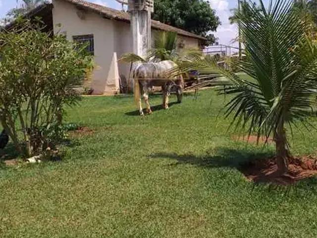 Sítio e chácara venda em Região Geográfica Imediata de Uberlândia, Araguari