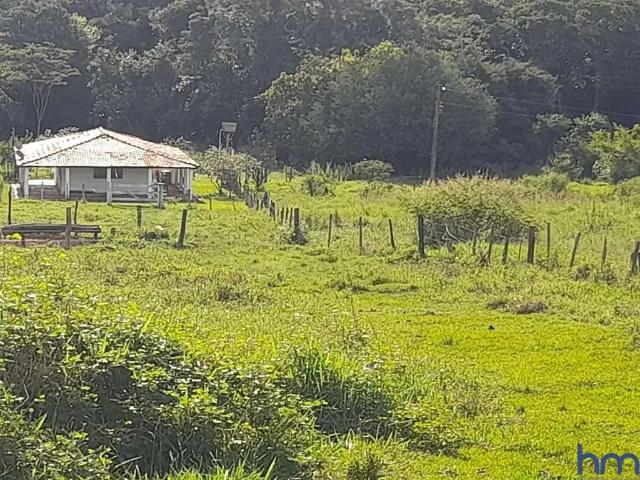 Sítio e chácara venda em Região Geográfica Imediata de Porangatu, São Miguel do Araguaia