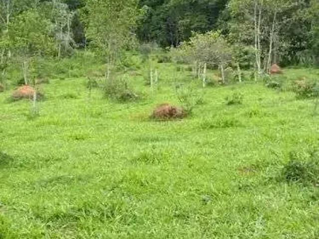 Sítio e chácara venda em Região Geográfica Imediata de Uberlândia, Araguari
