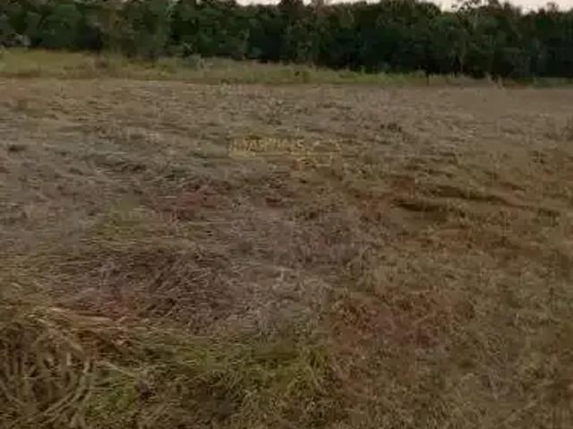 Sítio e chácara venda em Região Geográfica Imediata de Uberlândia, Araguari