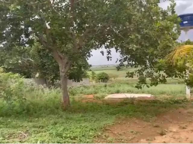 Sítio e chácara venda em Região Geográfica Imediata de Arapiraca, Arapiraca