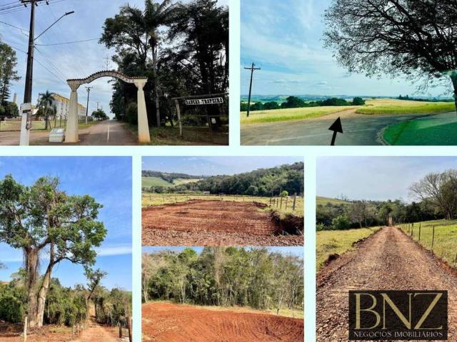 Sítio e chácara venda em Região Geográfica Imediata de Londrina, Arapongas