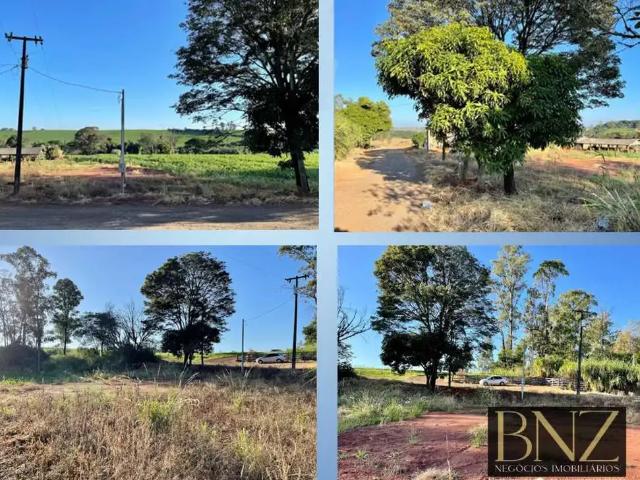 Sítio e chácara venda em Região Geográfica Imediata de Londrina, Arapongas