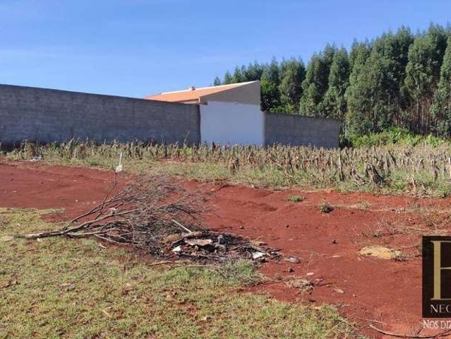 Sítio e chácara venda em Região Geográfica Imediata de Londrina, Arapongas