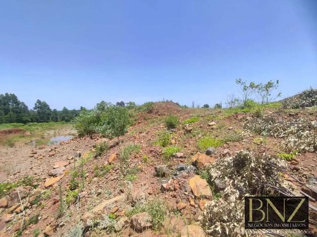 Sítio e chácara venda em Região Geográfica Imediata de Londrina, Arapongas