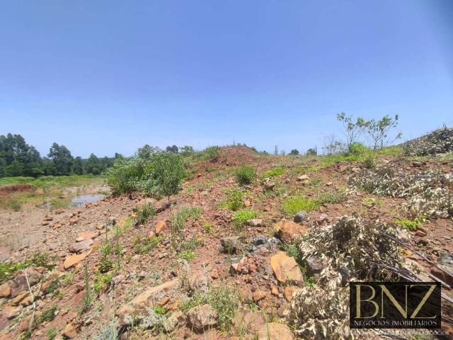 Sítio e chácara venda em Região Geográfica Imediata de Londrina, Arapongas
