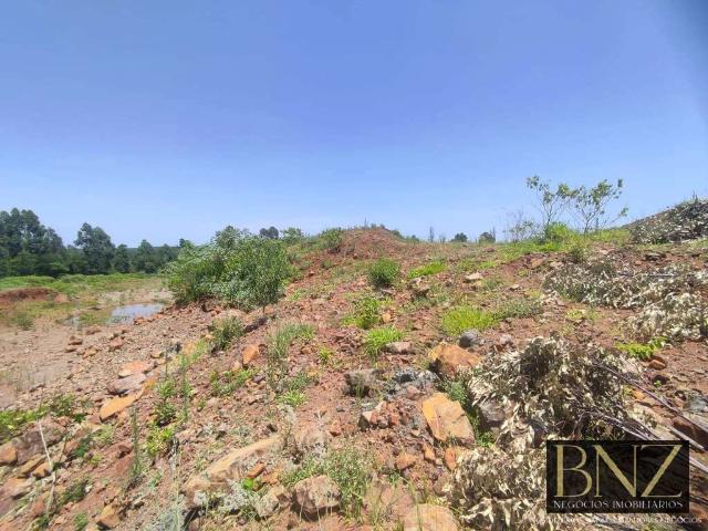 Sítio e chácara venda em Arapongas, Região Geográfica Intermediária de Londrina