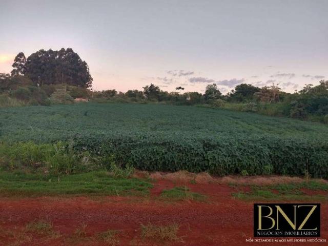 Sítio e chácara venda em Região Geográfica Imediata de Londrina, Arapongas