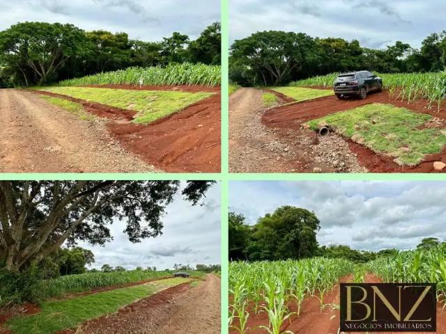 Sítio e chácara venda em Região Geográfica Imediata de Londrina, Arapongas
