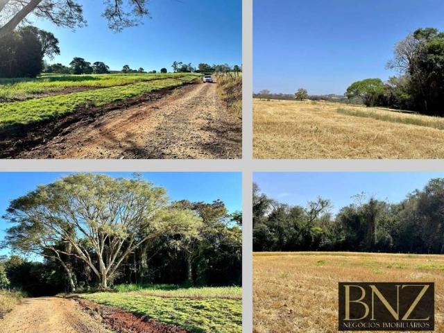 Sítio e chácara venda em Região Geográfica Imediata de Londrina, Arapongas