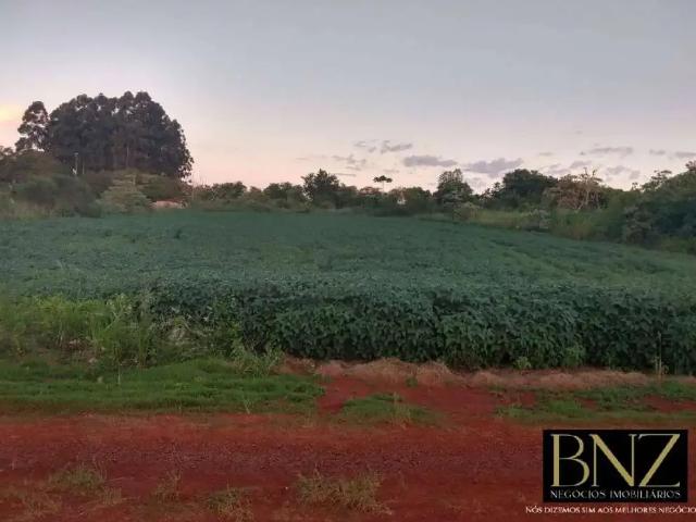 Sítio e chácara venda em Região Geográfica Imediata de Londrina, Arapongas