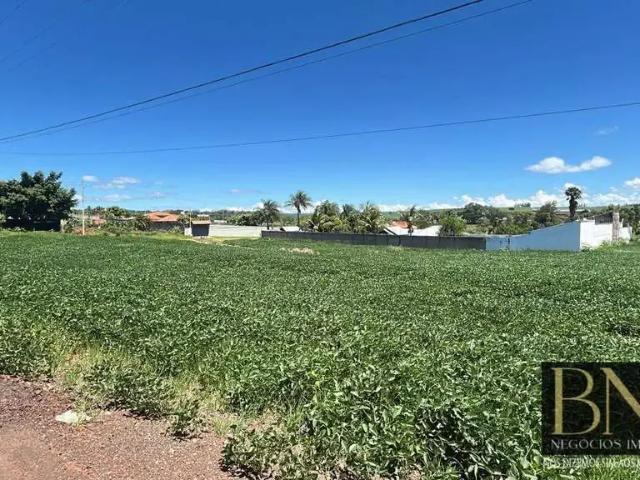 Sítio e chácara venda em Região Geográfica Imediata de Londrina, Arapongas
