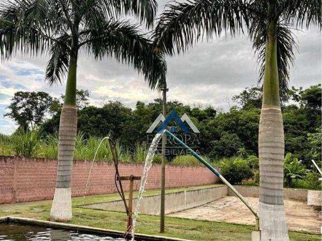 Sítio e chácara venda em Região Geográfica Imediata de Londrina, Londrina