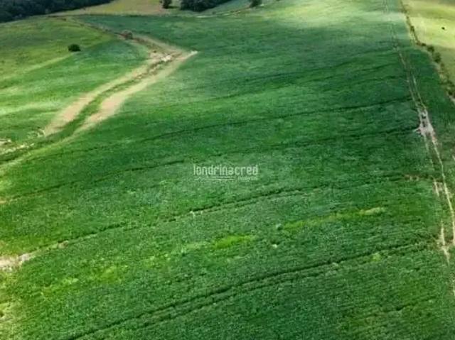 Sítio e chácara venda em Região Geográfica Imediata de Ponta Grossa, Arapoti