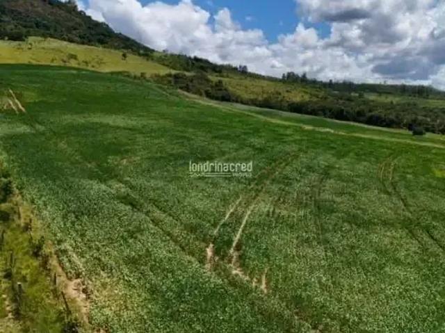 Sítio e chácara venda em Região Geográfica Imediata de Ponta Grossa, Arapoti